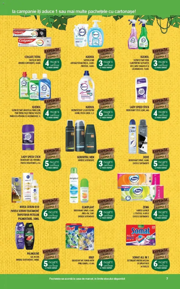 Pagina 7