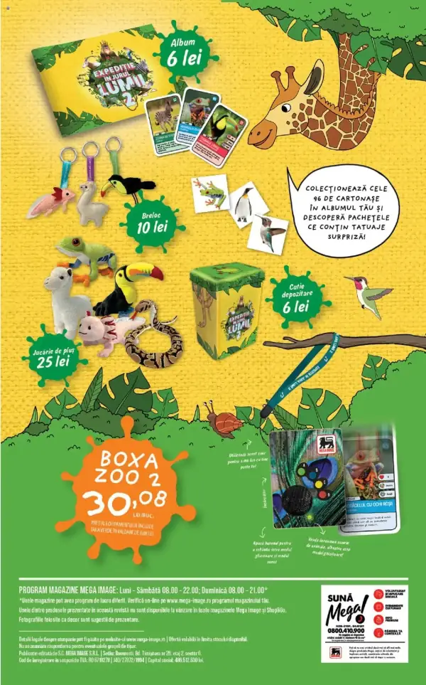Pagina 8