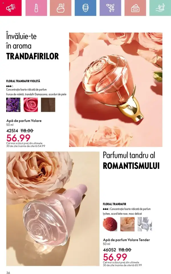 Pagina 36