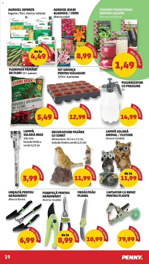 Pagina 19