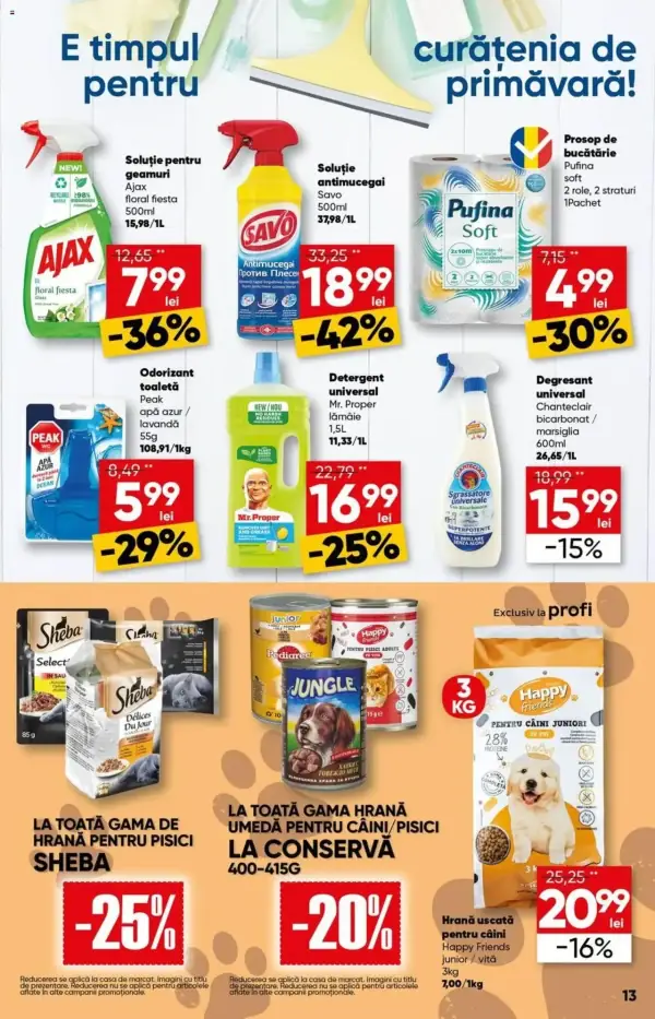 Pagina 13