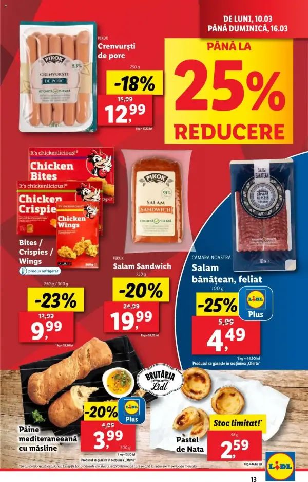 Pagina 13
