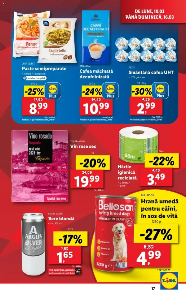 Pagina 17
