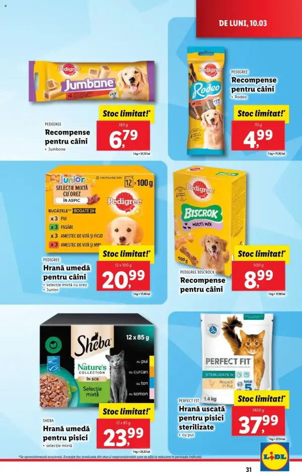 Pagina 31