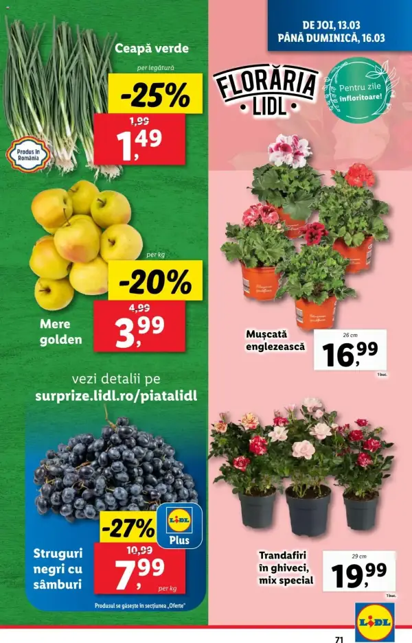 Pagina 71