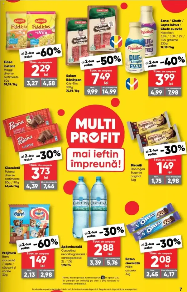 Pagina 7