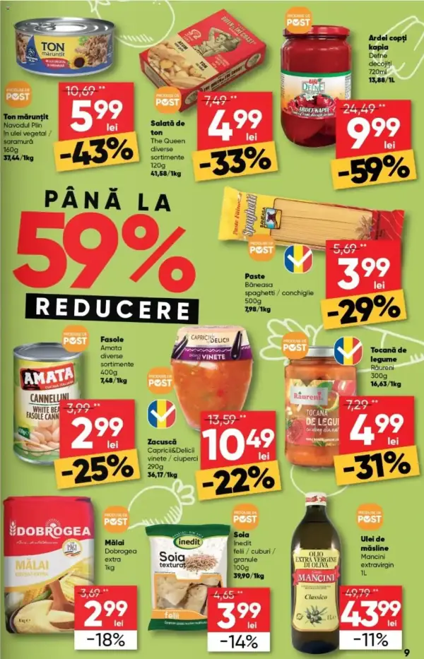 Pagina 9