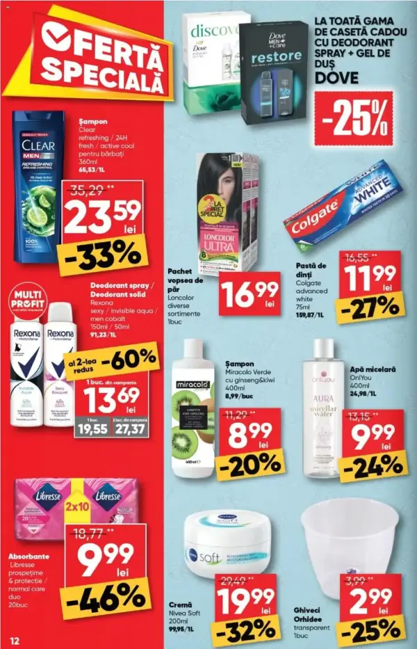Pagina 12