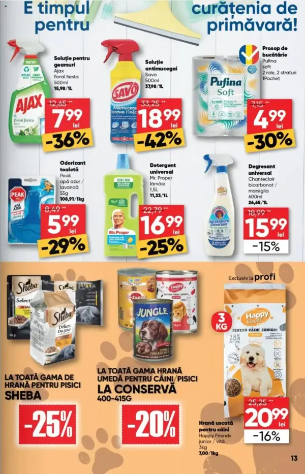 Pagina 13