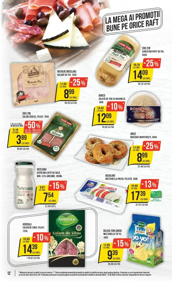Pagina 12