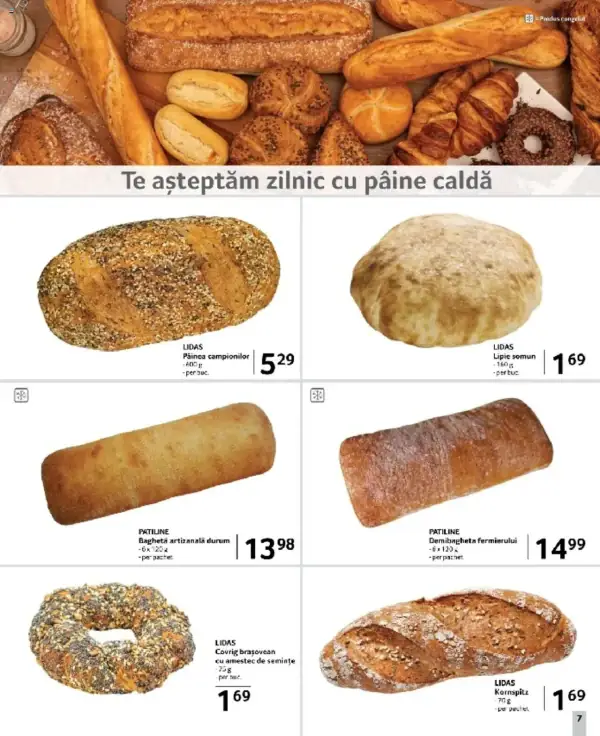 Pagina 7