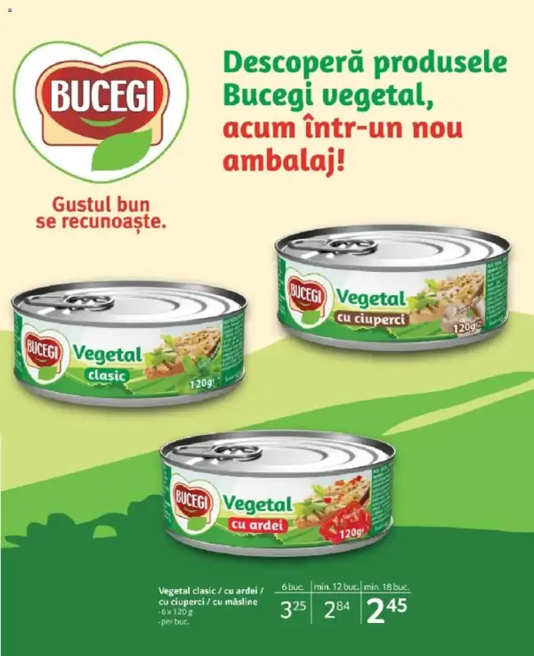 Pagina 19