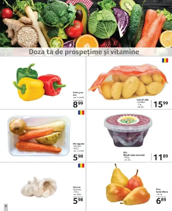 Pagina 6