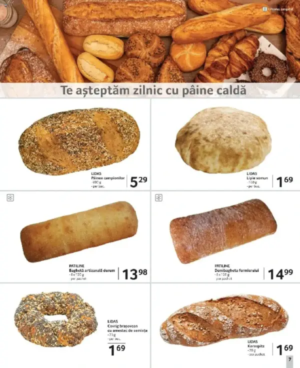 Pagina 7