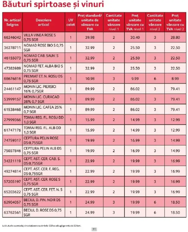 Pagina 11
