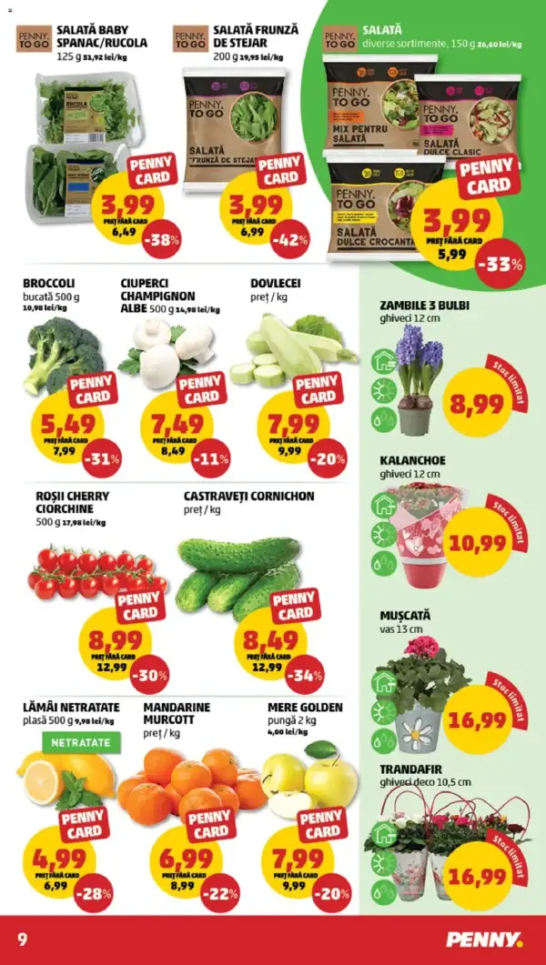 Cataloage PENNY: Ofertă actuală din 12.03.2025 - "Catalog nou" - 12-03-2025 - 18-03-2025.