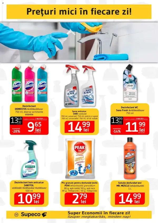 Pagina 10