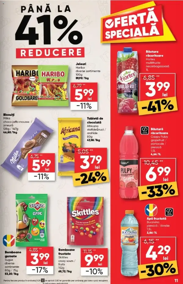 Pagina 11