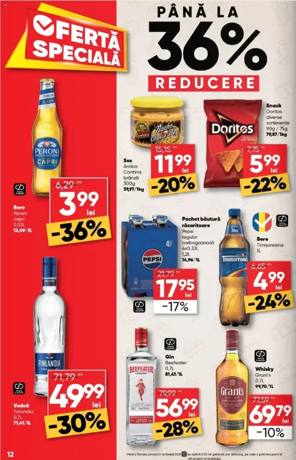 Pagina 12