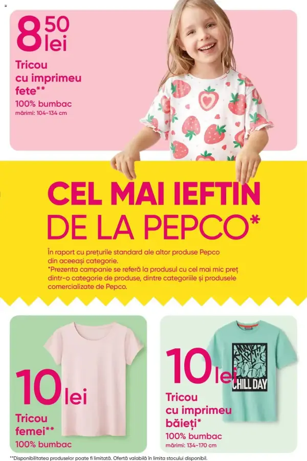 Pagina 13