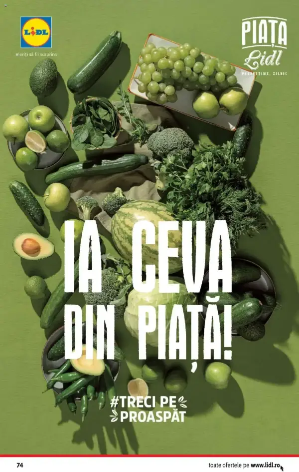 Pagina 74