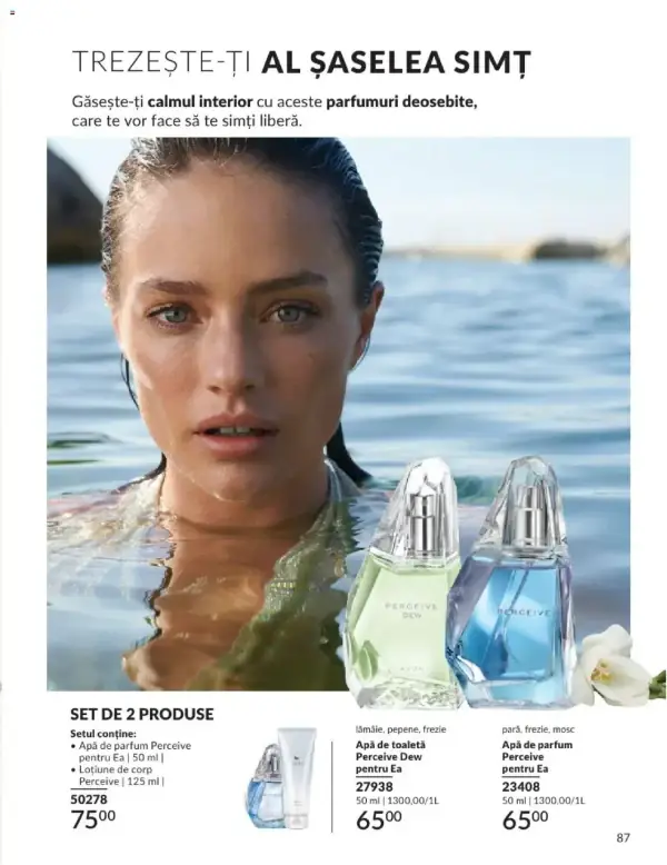 Pagina 87