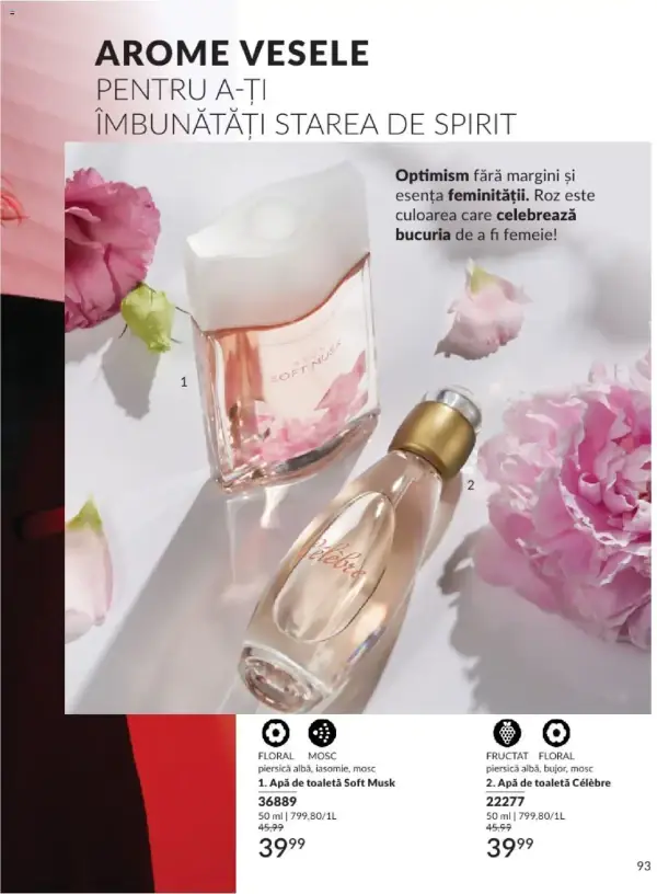Pagina 93