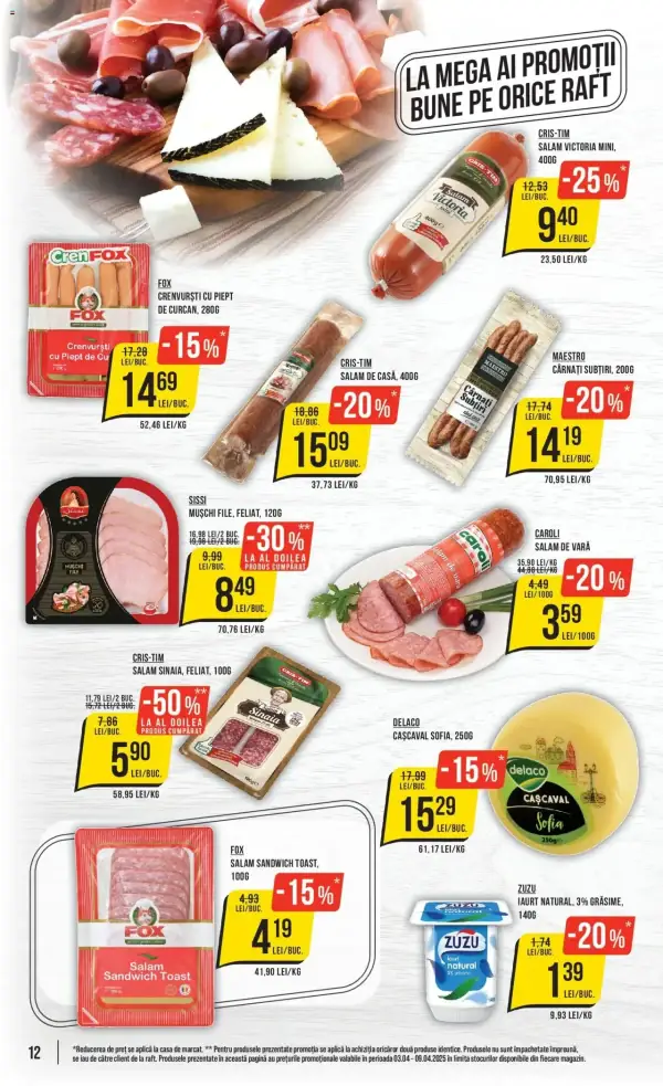 Pagina 12