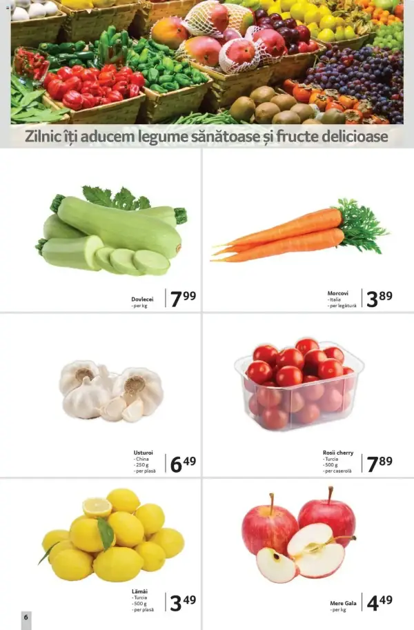 Pagina 6