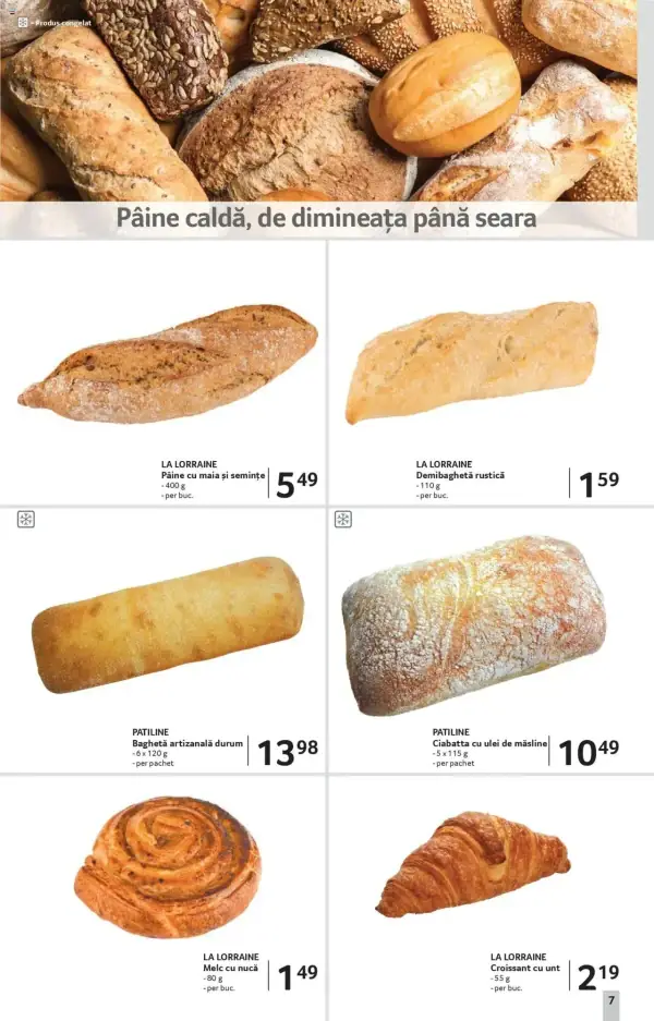 Pagina 7