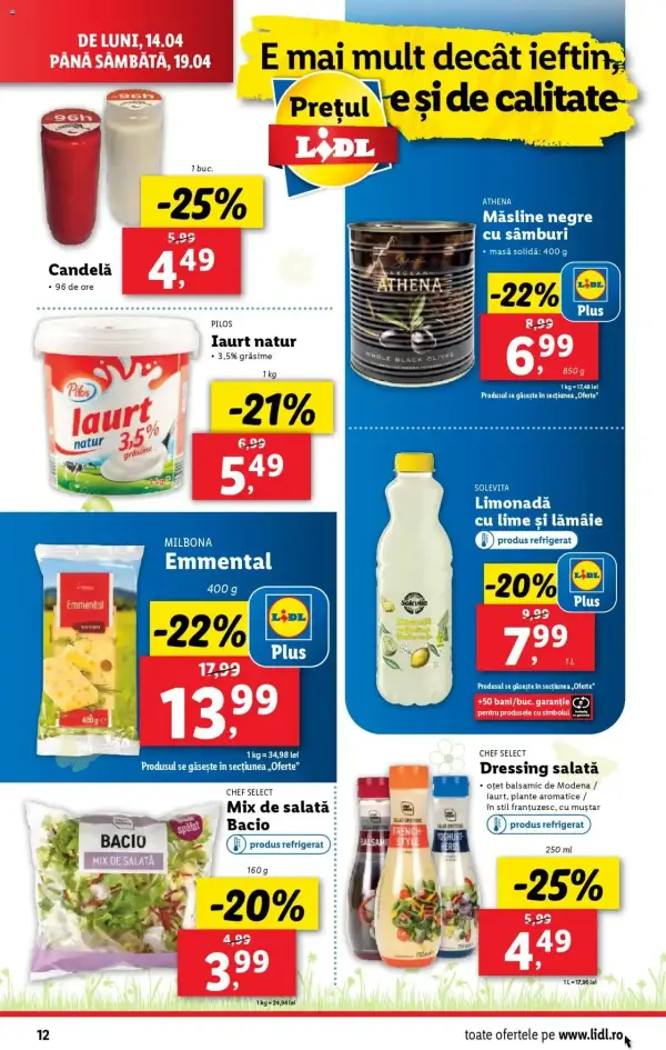 Pagina 12