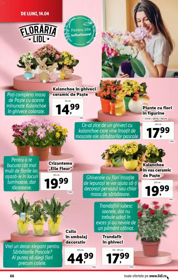 Pagina 66