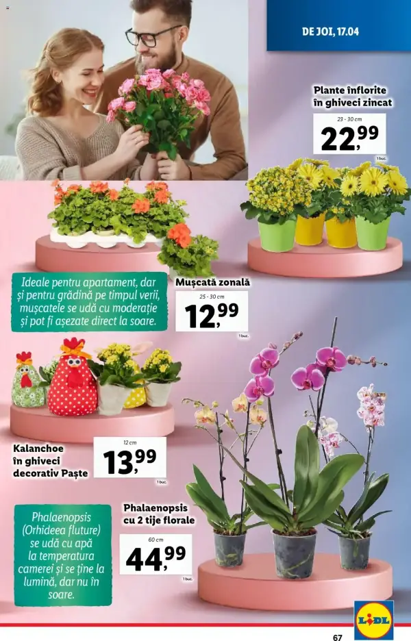 Pagina 67