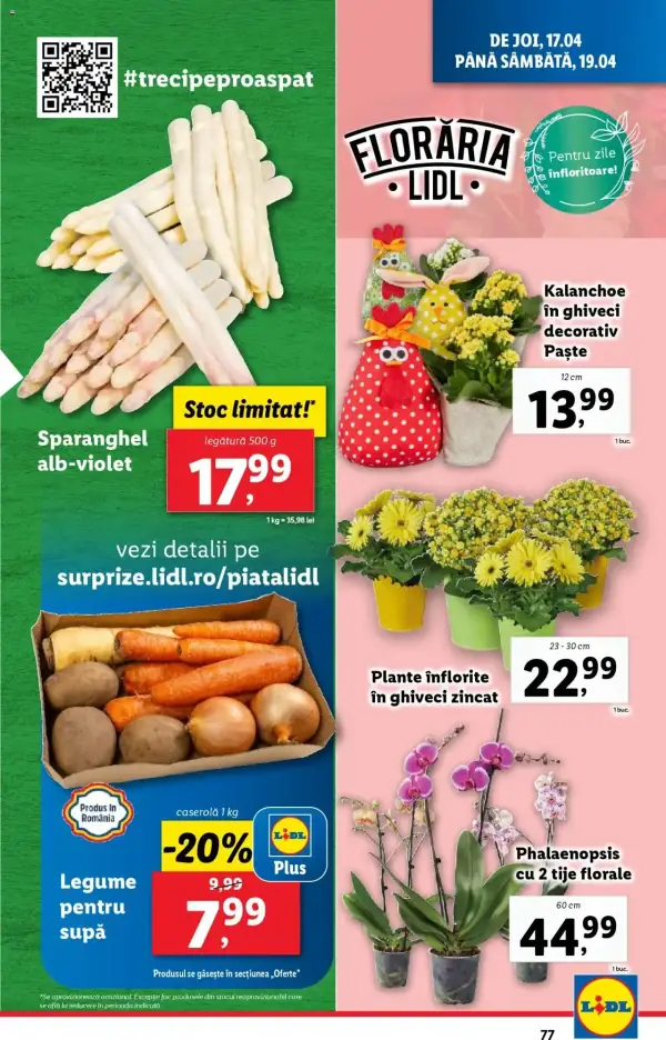 Pagina 77