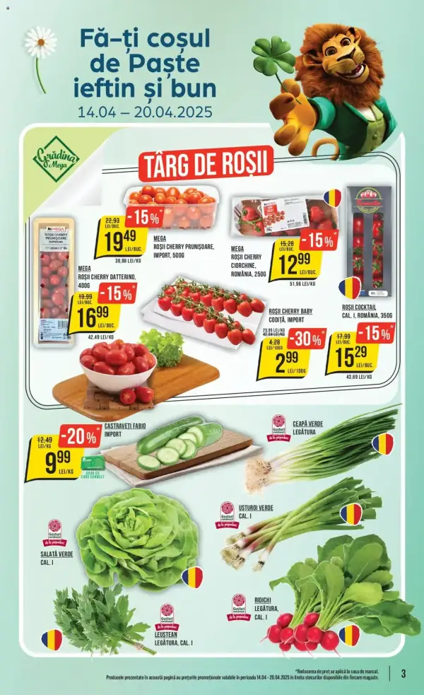 Pagina 3