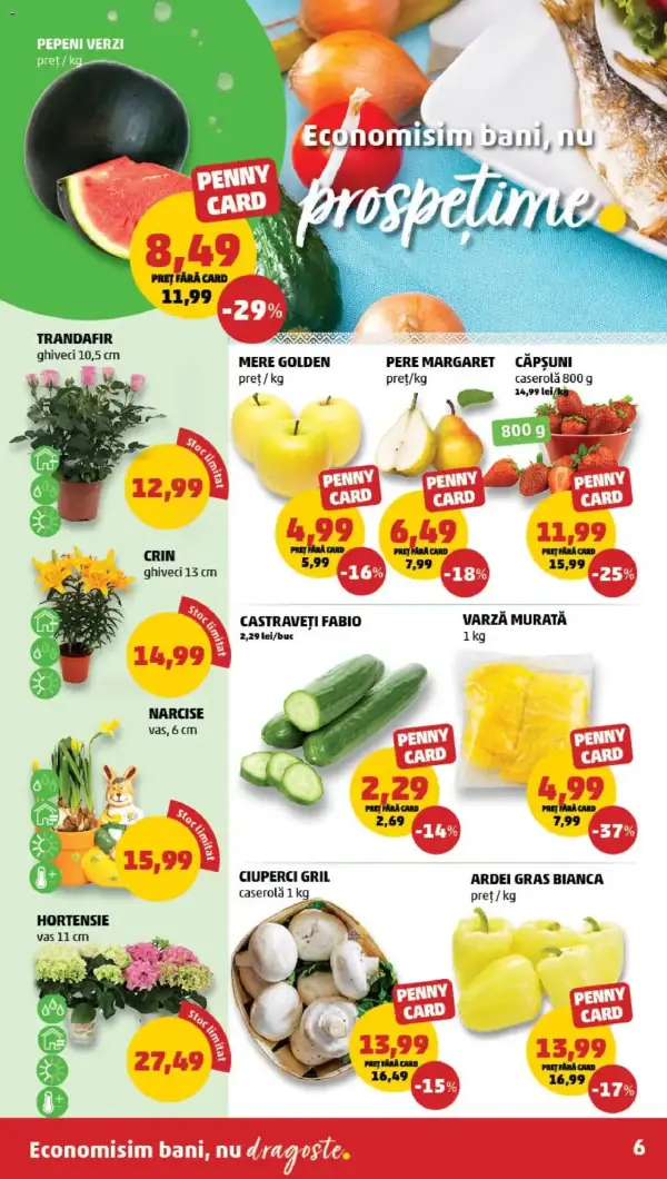Cataloage PENNY: Ofertă actuală din 16.04.2025 - "Catalog nou" - 16-04-2025 - 22-04-2025.