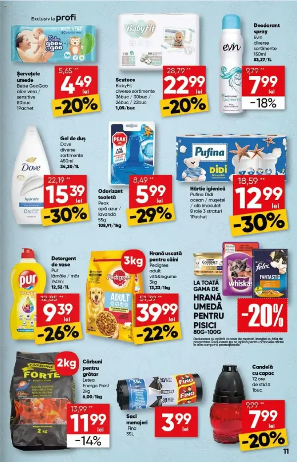 Pagina 11
