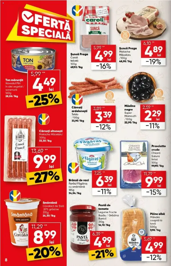 Pagina 8