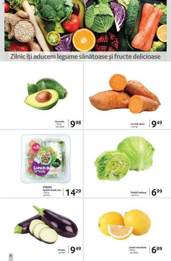 Pagina 6