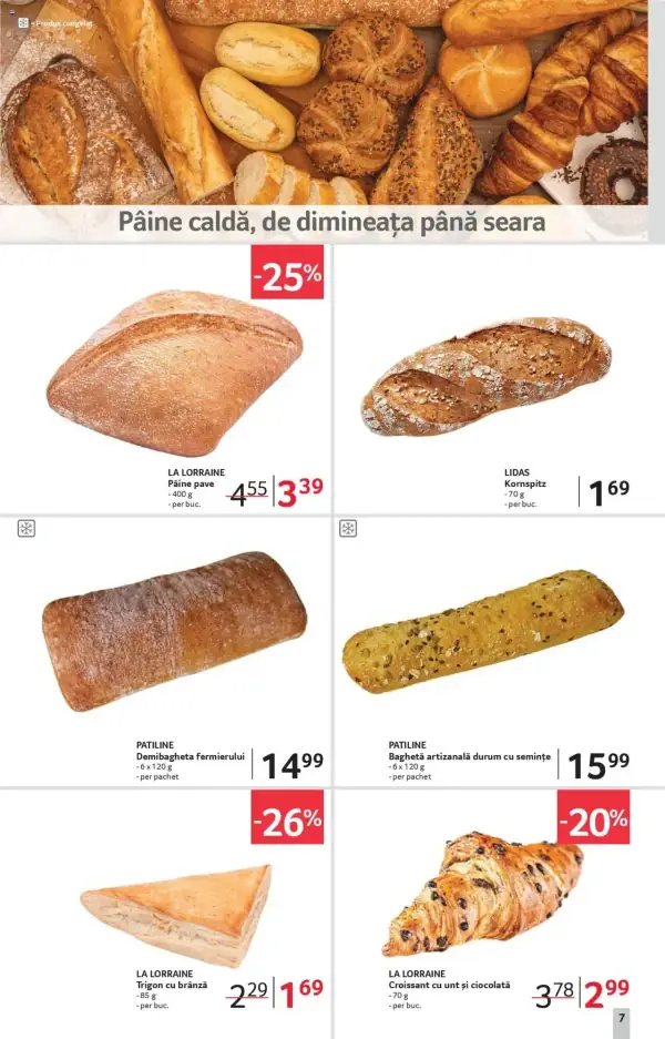 Pagina 7