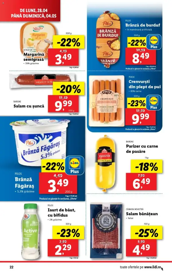 Pagina 22