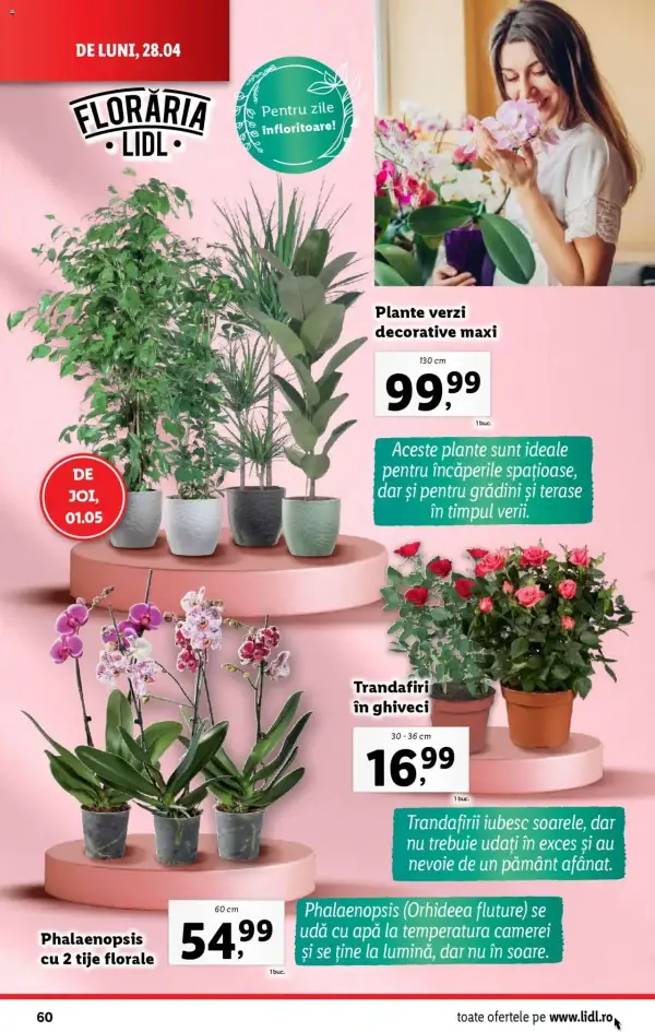 Pagina 60