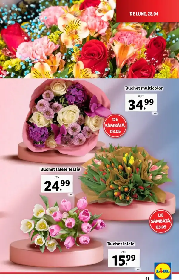 Pagina 61