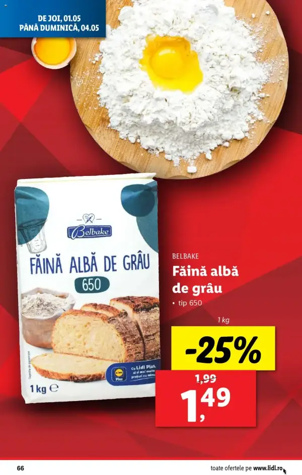 Pagina 66