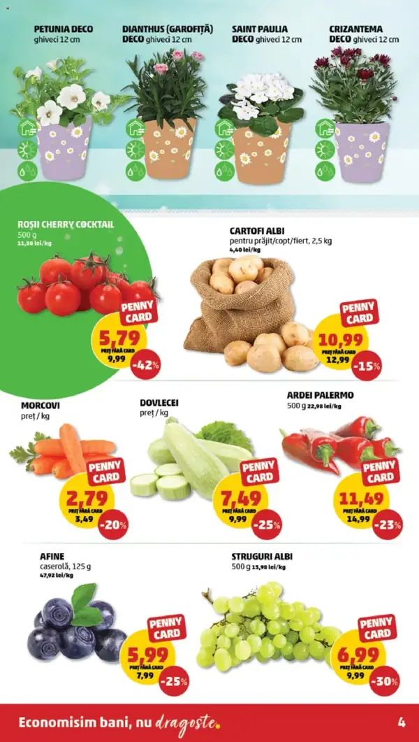Cataloage PENNY: Ofertă actuală din 23.04.2025 - "Catalog nou" - 23-04-2025 - 29-04-2025.