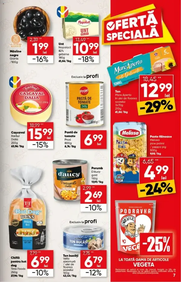 Pagina 7