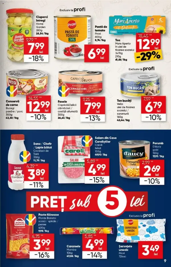 Pagina 9