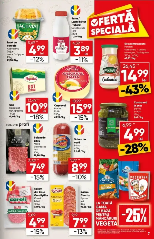 Pagina 7