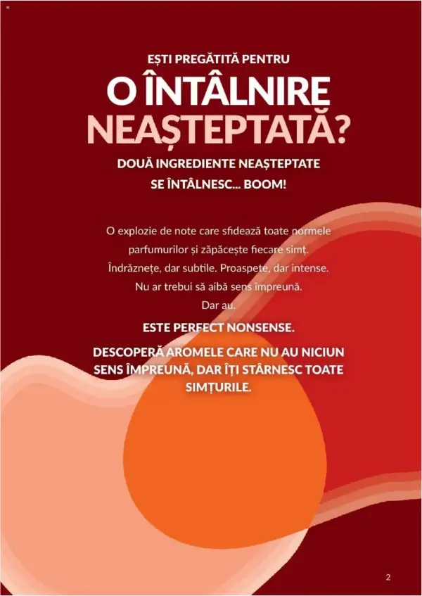 Pagina 2