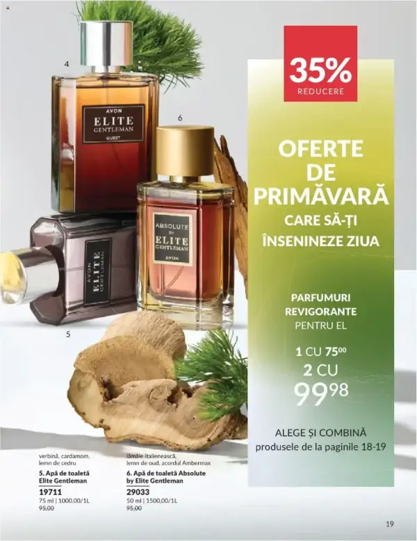 Pagina 19